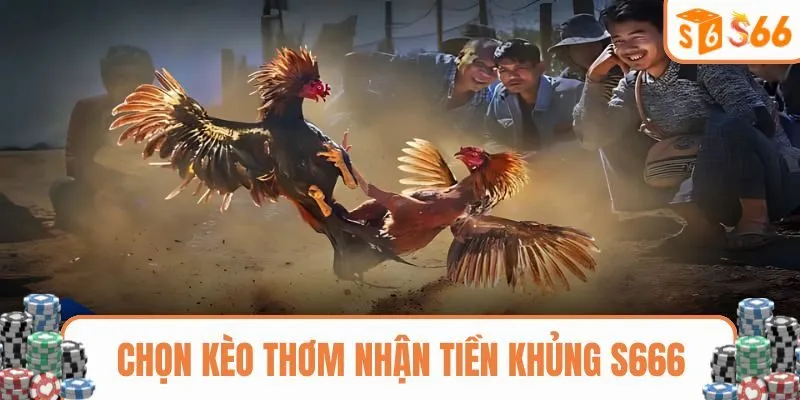 Chọn kèo thơm nhận tiền khủng S666 mỗi ngày